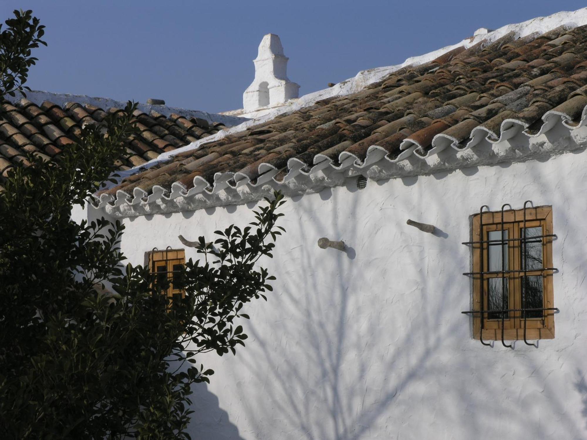 Casa Rural La Alameda Madridejos Zewnętrze zdjęcie