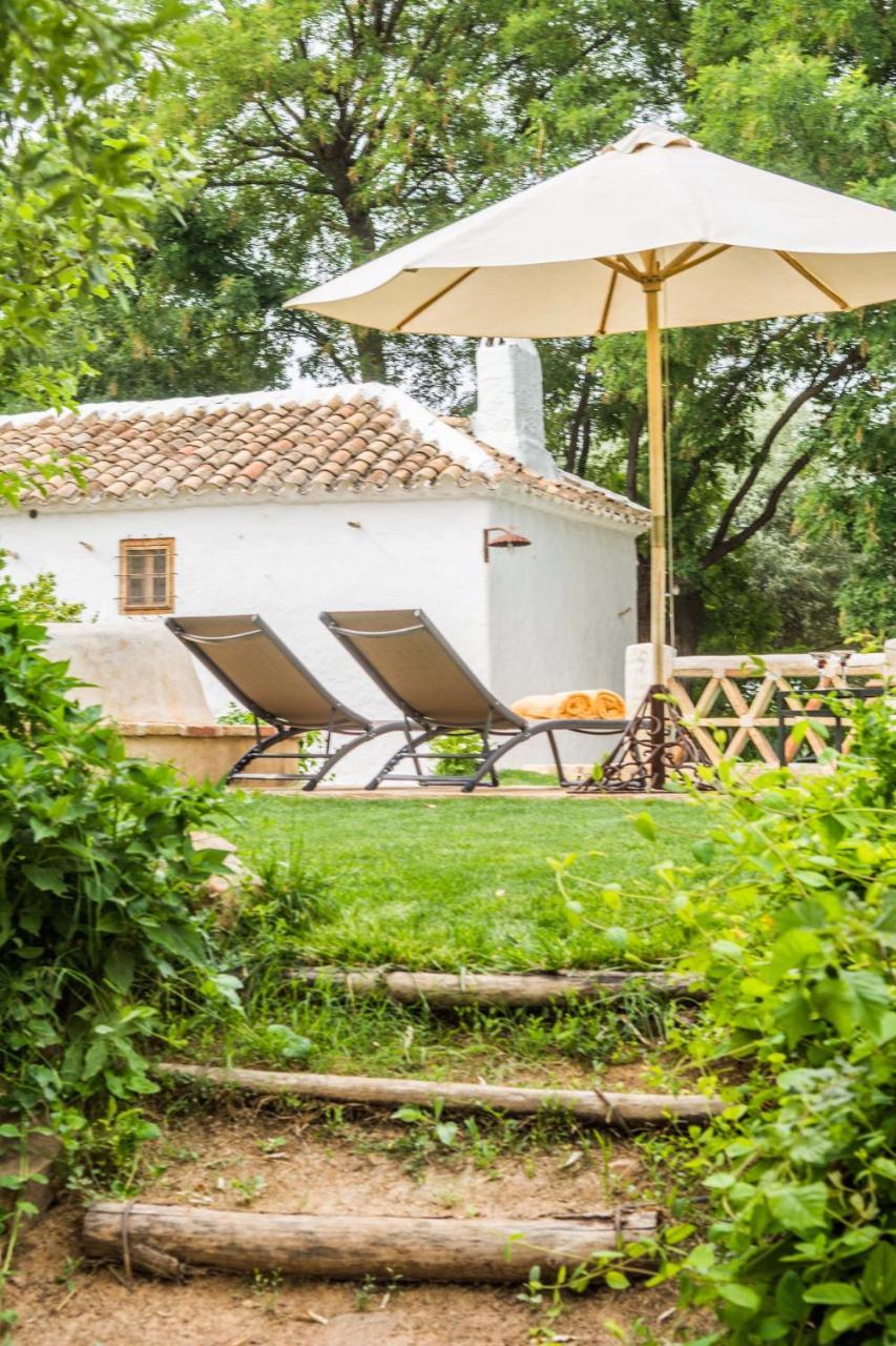 Casa Rural La Alameda Madridejos Zewnętrze zdjęcie