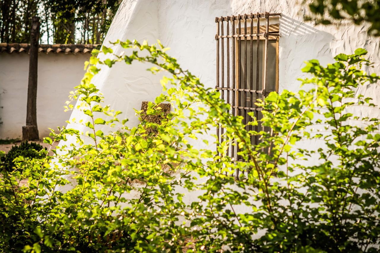 Casa Rural La Alameda Madridejos Zewnętrze zdjęcie